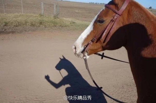 Bildschirmarbeiter - Picdump 03.03.2017