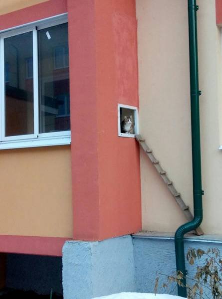 Bildschirmarbeiter - Picdump 03.03.2017