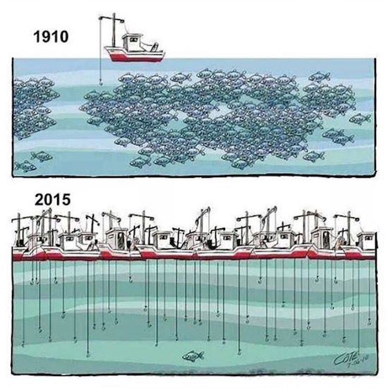 Bildschirmarbeiter - Picdump 03.03.2017