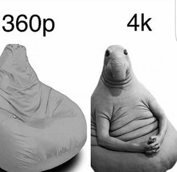 Bildschirmarbeiter - Picdump 03.03.2017