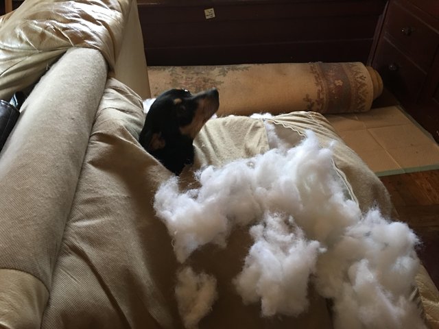 Bildschirmarbeiter - Picdump 10.03.2017 - NACHSCHLAG