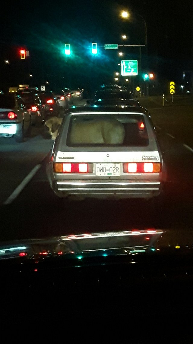 Bildschirmarbeiter - Picdump 10.03.2017 - NACHSCHLAG