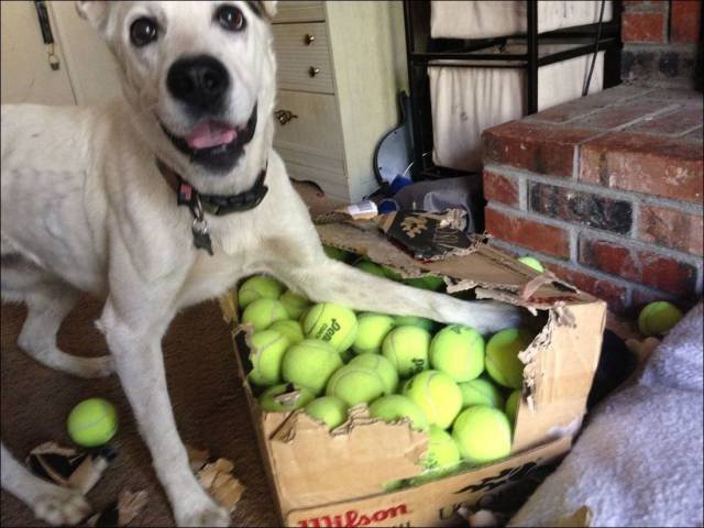 Bildschirmarbeiter - Picdump 10.03.2017 - NACHSCHLAG