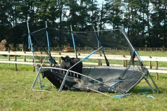 Bildschirmarbeiter - Picdump 10.03.2017 - NACHSCHLAG