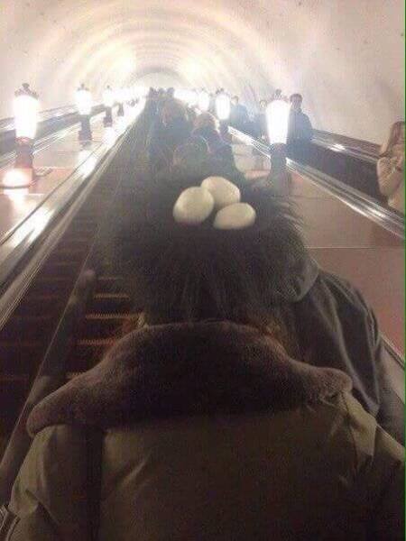 Bildschirmarbeiter - Picdump 10.03.2017 - NACHSCHLAG