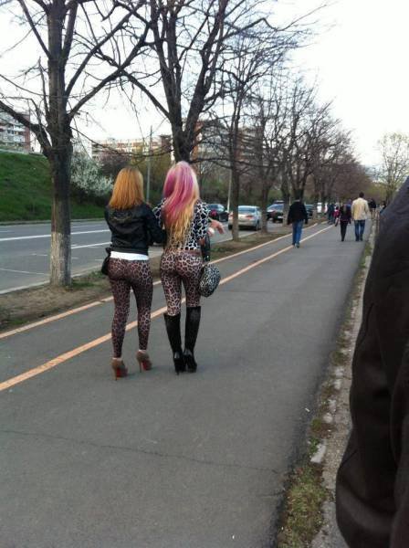 Bildschirmarbeiter - Picdump 10.03.2017 - NACHSCHLAG