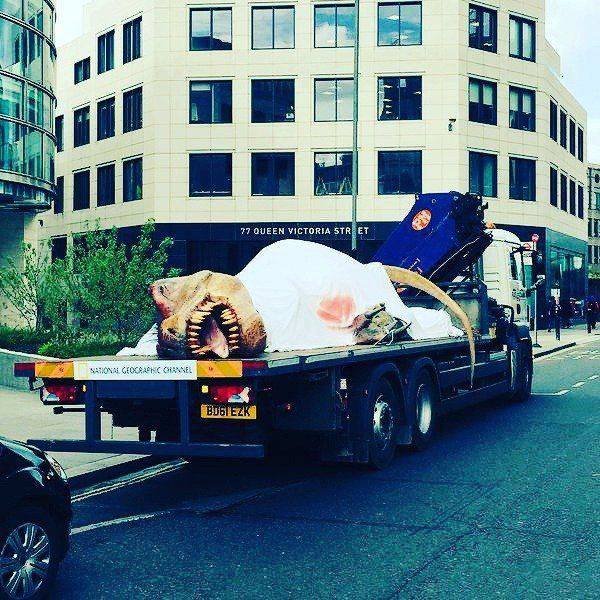 Bildschirmarbeiter - Picdump 10.03.2017 - NACHSCHLAG