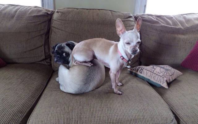 Bildschirmarbeiter - Picdump 10.03.2017 - NACHSCHLAG