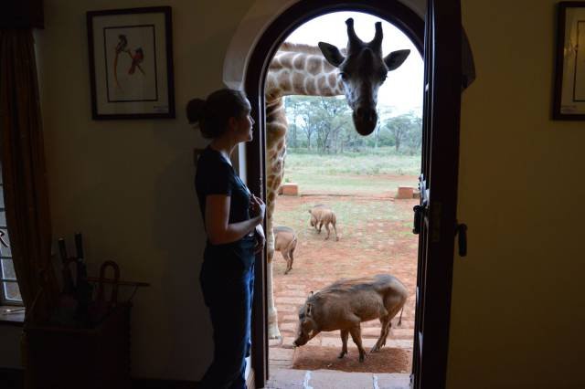 Bildschirmarbeiter - Picdump 10.03.2017 - NACHSCHLAG