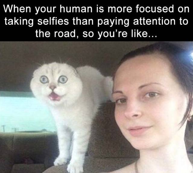 Bildschirmarbeiter - Picdump 10.03.2017 - NACHSCHLAG