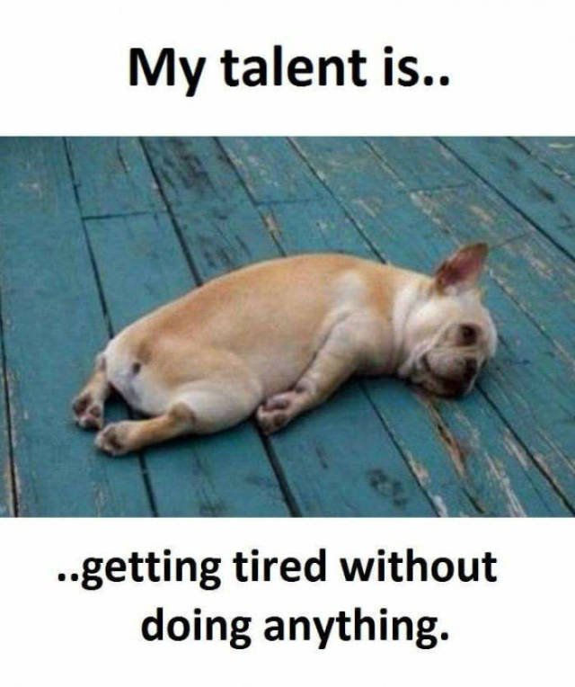 Bildschirmarbeiter - Picdump 10.03.2017