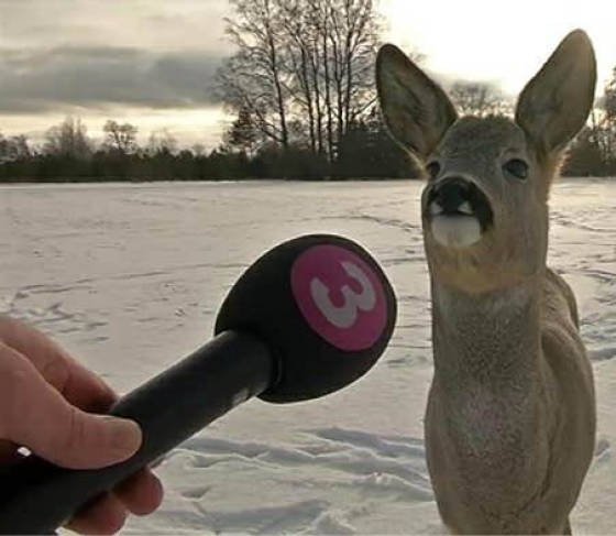 Bildschirmarbeiter - Picdump 10.03.2017