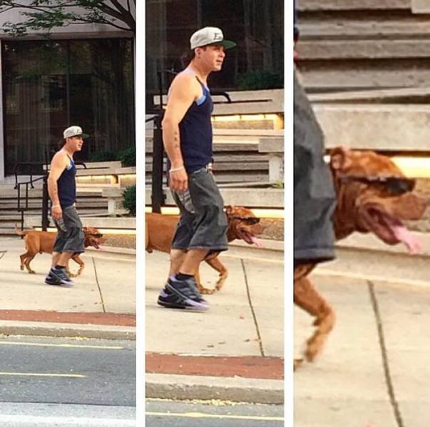 Bildschirmarbeiter - Picdump 10.03.2017