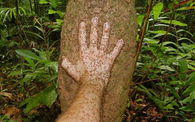 Bildschirmarbeiter - Picdump 10.03.2017