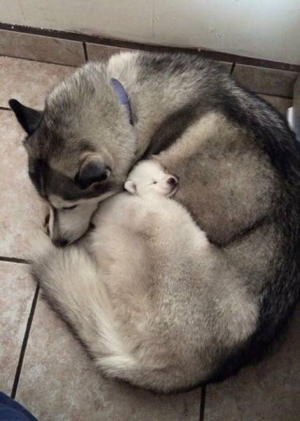 Bildschirmarbeiter - Picdump 10.03.2017