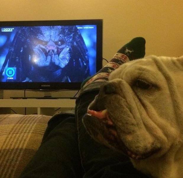 Bildschirmarbeiter - Picdump 10.03.2017