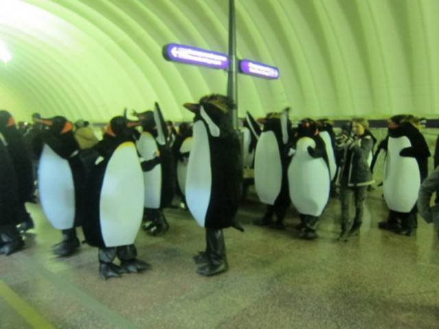 Bildschirmarbeiter - Picdump 10.03.2017