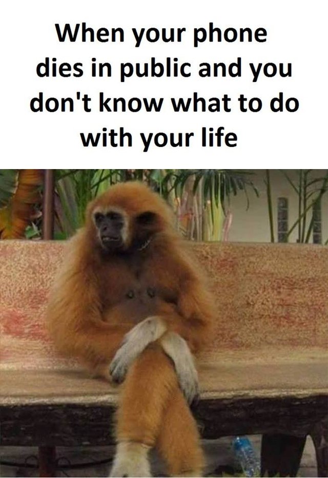 Bildschirmarbeiter - Picdump 17.03.2017 - NACHSCHLAG