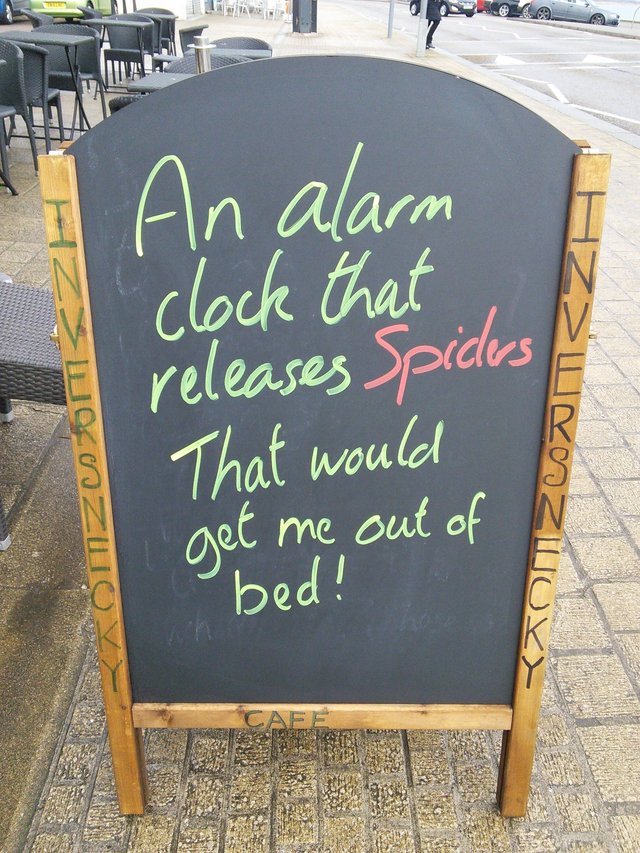 Bildschirmarbeiter - Picdump 17.03.2017 - NACHSCHLAG