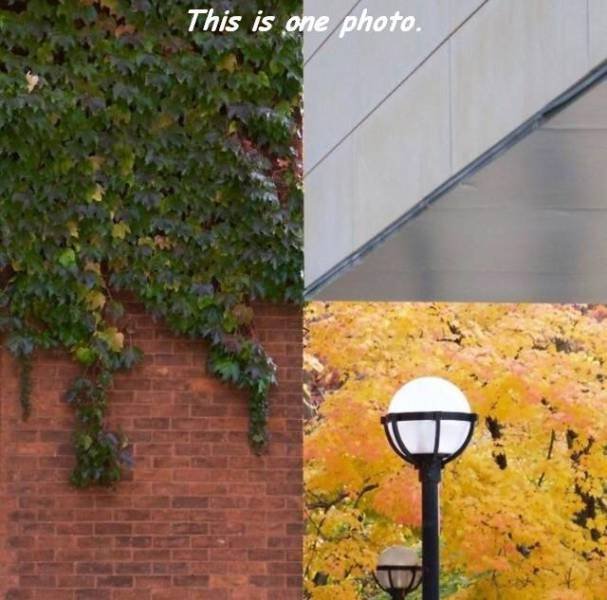 Bildschirmarbeiter - Picdump 17.03.2017 - NACHSCHLAG