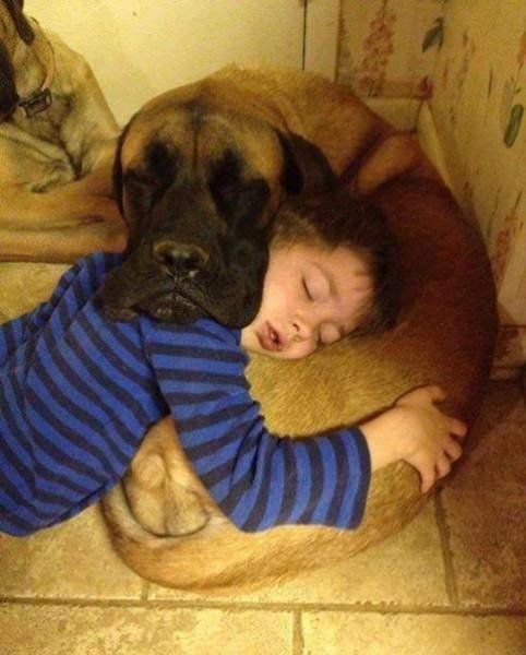 Bildschirmarbeiter - Picdump 17.03.2017 - NACHSCHLAG