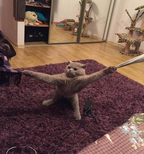 Bildschirmarbeiter - Picdump 17.03.2017 - NACHSCHLAG