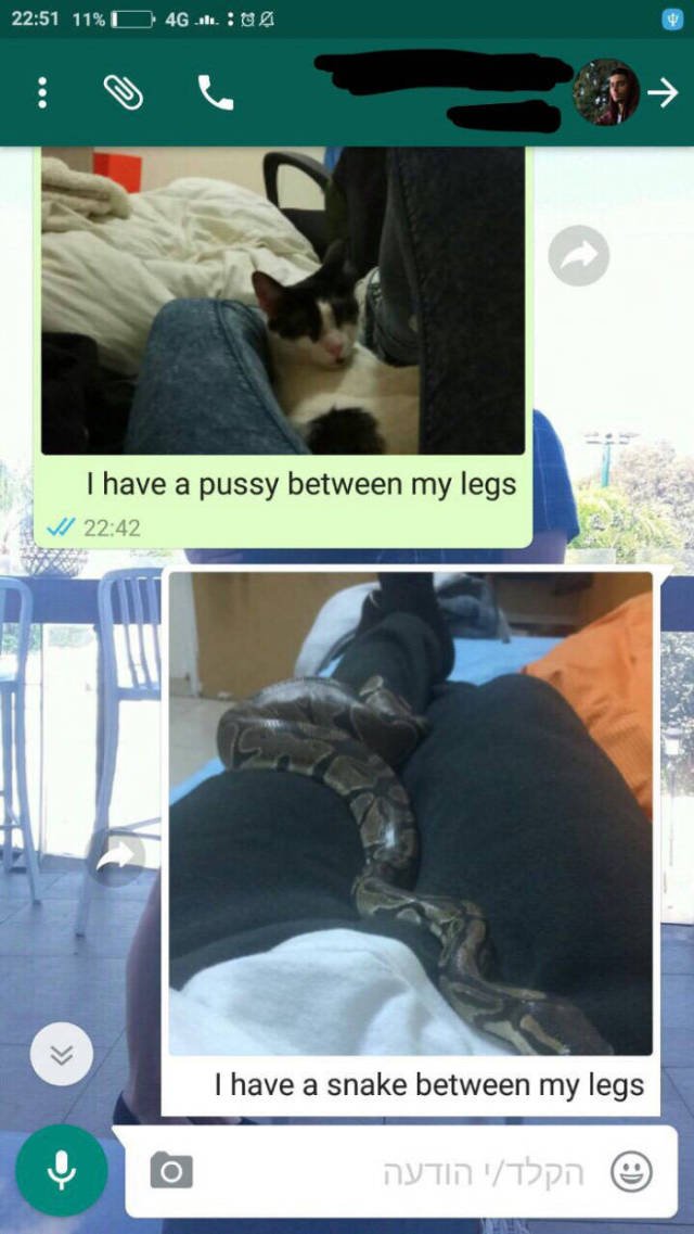 Bildschirmarbeiter - Picdump 17.03.2017 - NACHSCHLAG