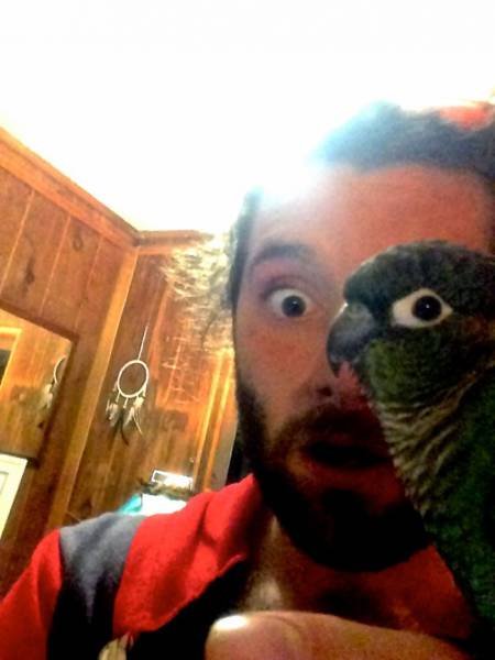 Bildschirmarbeiter - Picdump 17.03.2017 - NACHSCHLAG