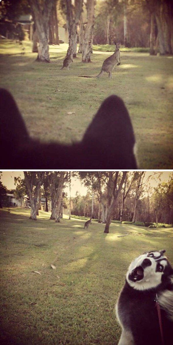 Bildschirmarbeiter - Picdump 17.03.2017