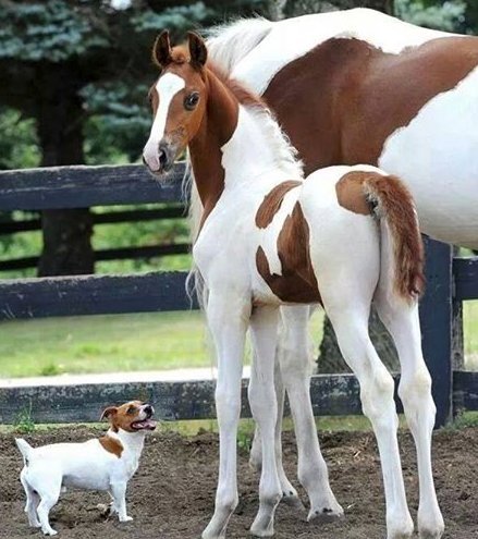 Bildschirmarbeiter - Picdump 17.03.2017