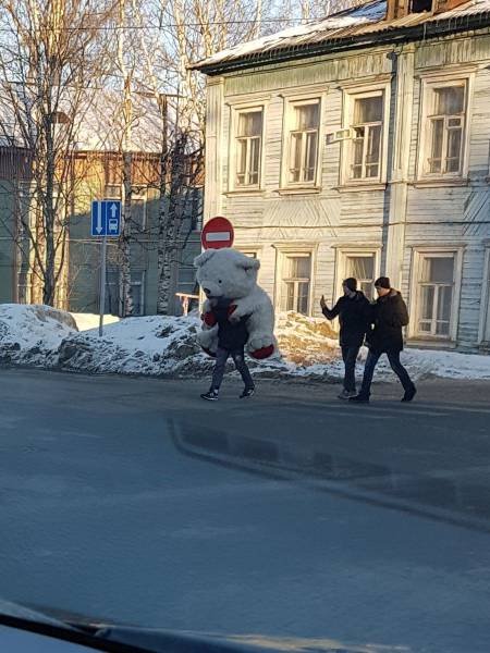 Bildschirmarbeiter - Picdump 17.03.2017