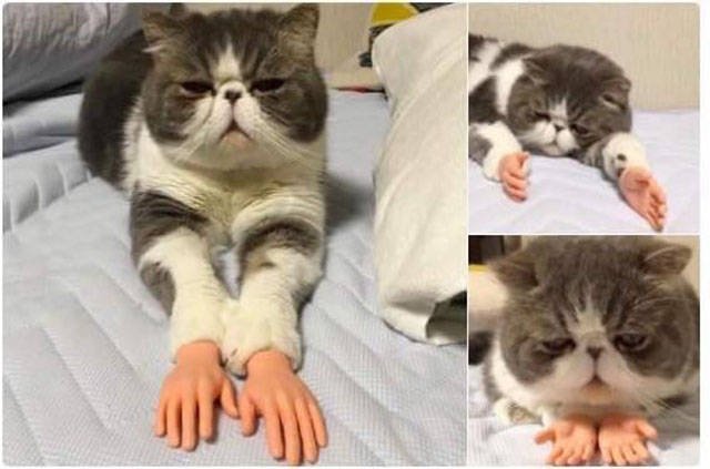 Bildschirmarbeiter - Picdump 17.03.2017