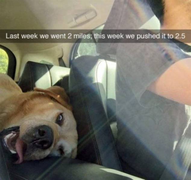 Bildschirmarbeiter - Picdump 17.03.2017