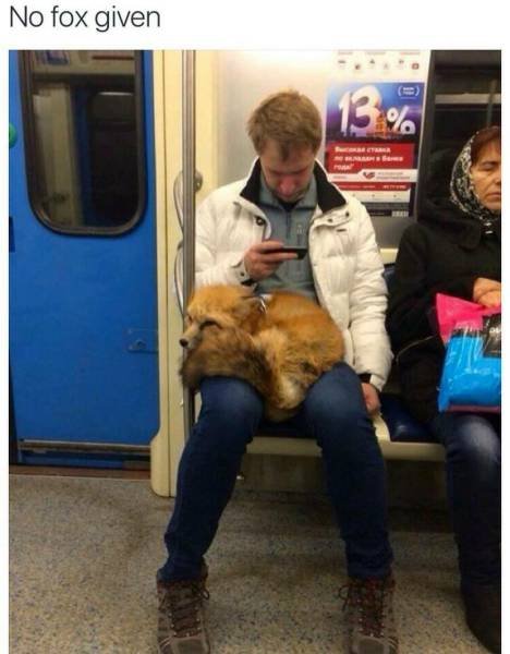 Bildschirmarbeiter - Picdump 17.03.2017