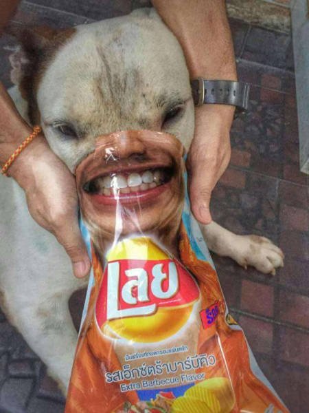 Bildschirmarbeiter - Picdump 17.03.2017