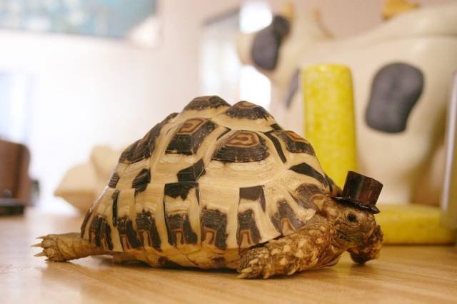 Bildschirmarbeiter - Picdump 17.03.2017