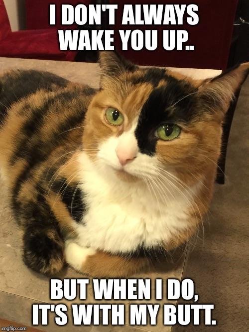 Bildschirmarbeiter - Picdump 17.03.2017