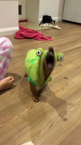 Bildschirmarbeiter - Picdump 17.03.2017