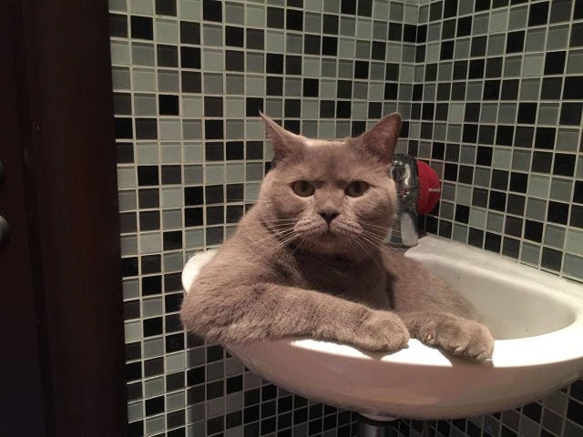 Bildschirmarbeiter - Picdump 17.03.2017