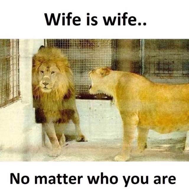 Bildschirmarbeiter - Picdump 17.03.2017