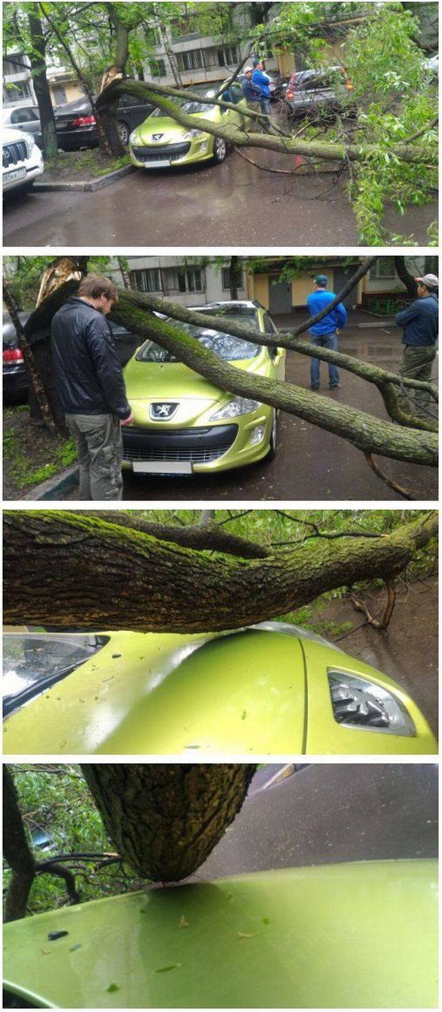 Bildschirmarbeiter - Picdump 24.03.2017