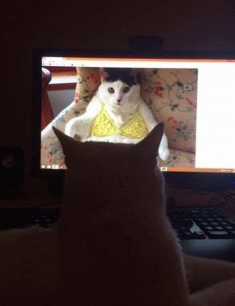 Bildschirmarbeiter - Picdump 24.03.2017