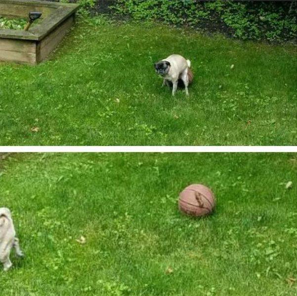 Bildschirmarbeiter - Picdump 24.03.2017