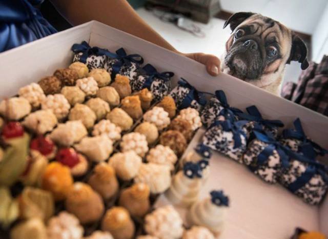 Bildschirmarbeiter - Picdump 24.03.2017