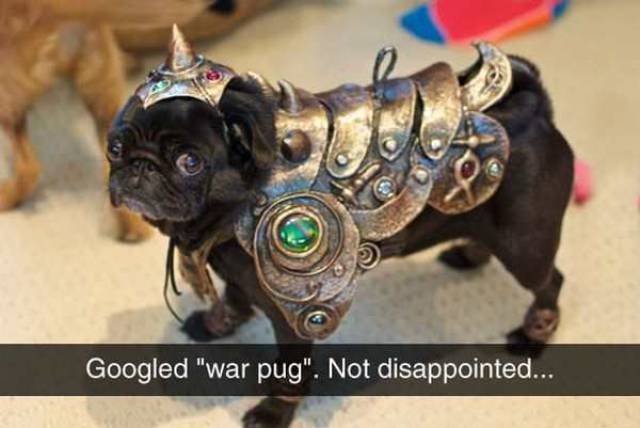 Bildschirmarbeiter - Picdump 24.03.2017