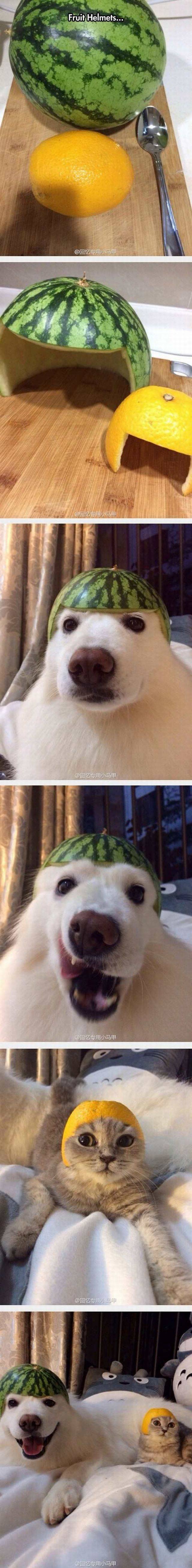 Bildschirmarbeiter - Picdump 24.03.2017