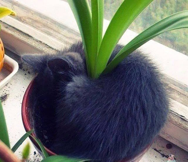 Bildschirmarbeiter - Picdump 24.03.2017