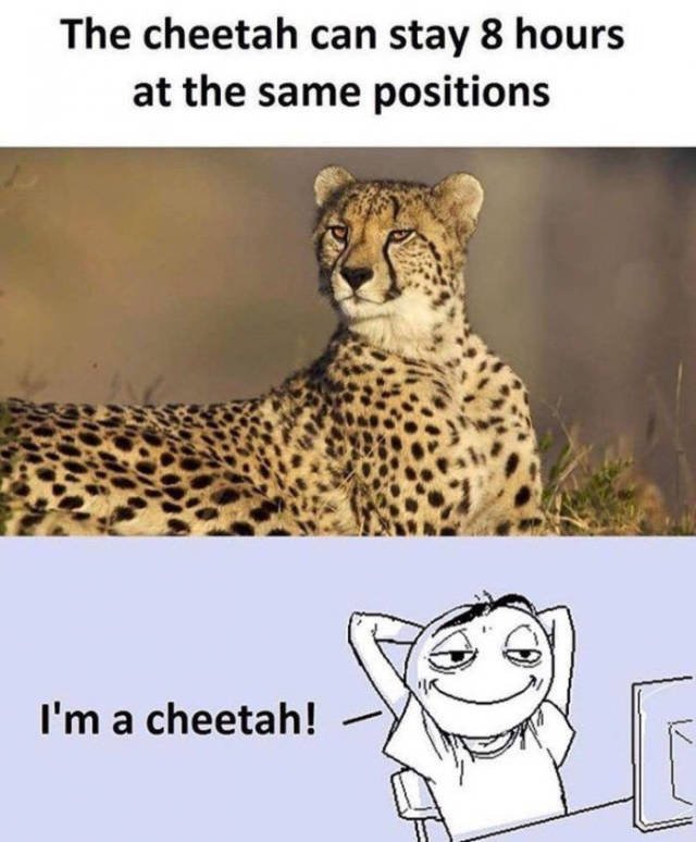 Bildschirmarbeiter - Picdump 24.03.2017