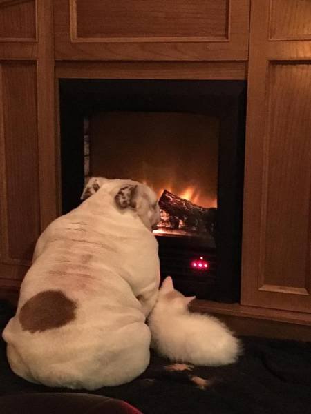 Bildschirmarbeiter - Picdump 24.03.2017