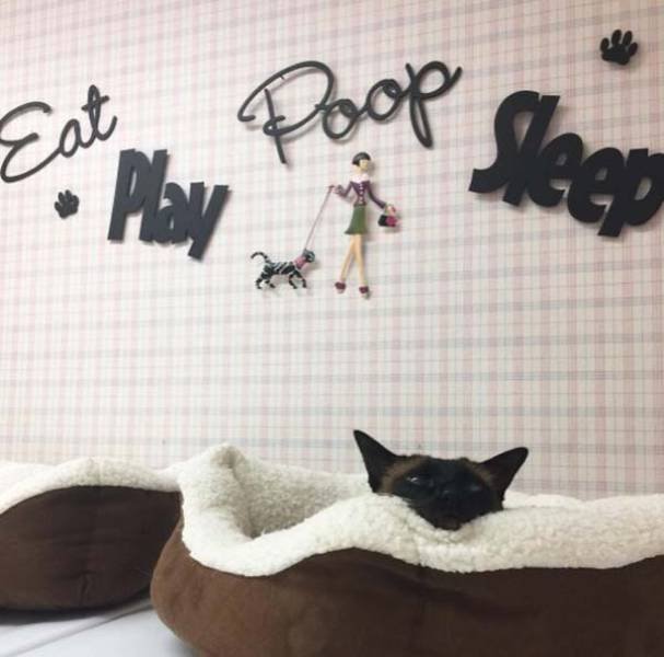 Bildschirmarbeiter - Picdump 24.03.2017